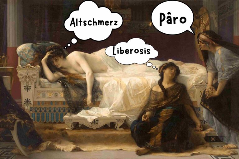 the dictionary of obscure sorrows