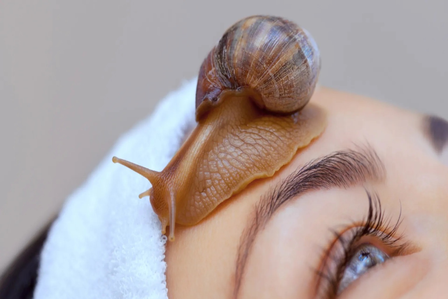 snail mucin skincare