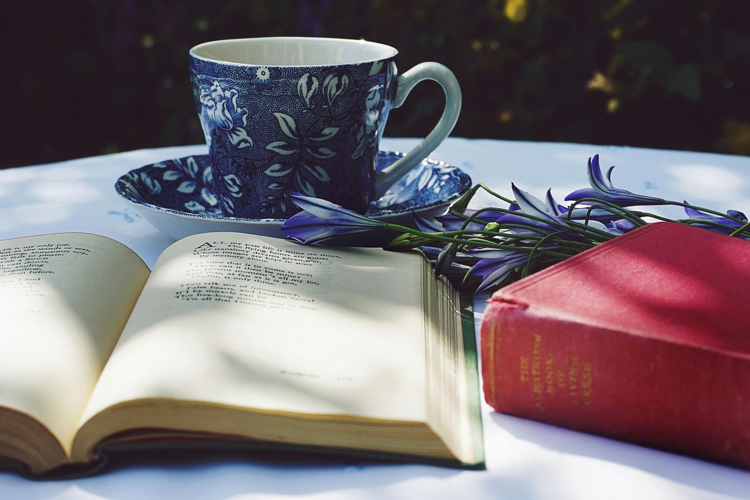 books for people who do not like to read