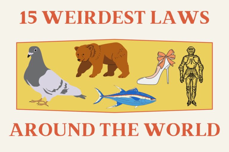 weirdest laws around the world