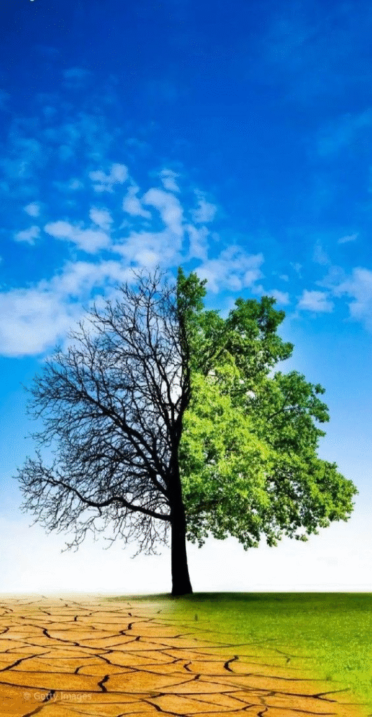 grief and growth
